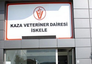 skele Veteriner Dairesi Yeni Binasnda