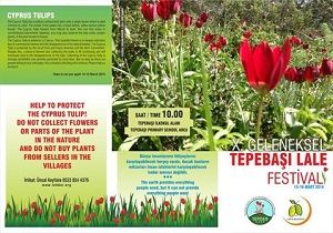Tepeba Lale Festivali Cumartesi Gn Balyor