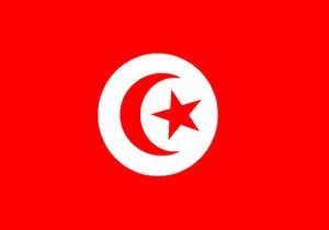 Tunus, Libya Geici Ulusal Konseyi ni Tand 
