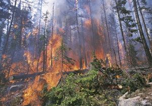 Orman Dairesinden  Yangn Tehlikesi Uyars