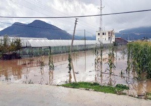 Antalya da Şiddetli Yağış Seraları Göle Çevirdi