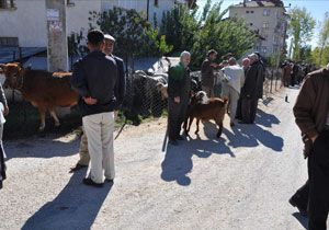 Elmal Belediyesi Kontrollere Balad
