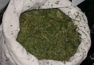 Kocaelinde 17 Kilo Esrar Ele Geirildi