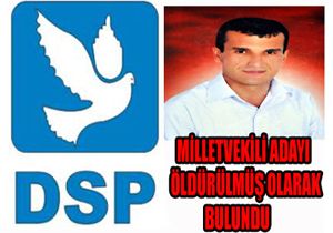 Milletvekili Aday ldrld