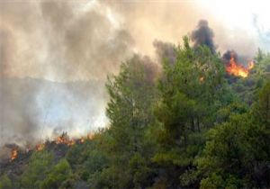 Hatay da esrarengiz orman yangn