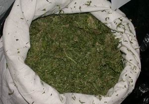 Antalya da 7,5 Kilo Esrar Ele Geirildi