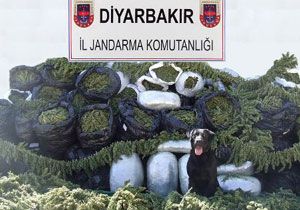 Lice de 2 ton 600 kilo Esrar Ele Geirildi
