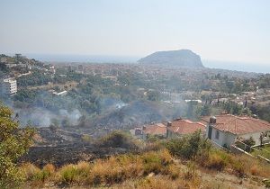 Alanya da Yangn Panii