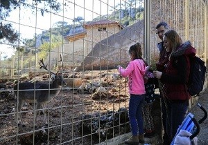 Hayvanat Bahesi ne Ziyareti Akn