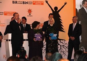 Babakan Erdoan Fidan Dikti