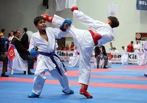 Bursada Dnya Kulpler Kupas Avrupa ampiyonas