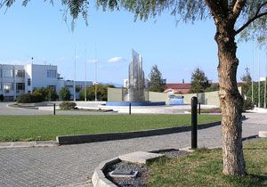 DA renci Konseyi, Yarnki Eylemin Ertelenmesini Talep Etti