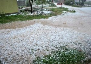 Karpazda Ar Dolu Zarara Neden Oldu