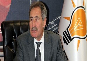 Gnay dan Gezi Park Eletirisi