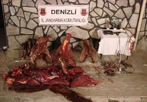 Denizli de At ve Eek Eti Operasyonu