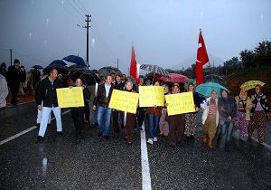 Gazipaa da Kyllerden Kavak Eylemi 