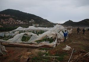 Gazipaa da Hortum Zarar Verdi