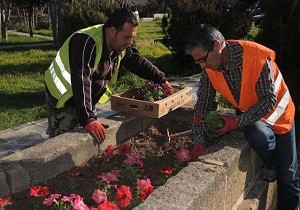 Girne Belediyesi ieklendirme ve Aalandrma almalarn Srdryor