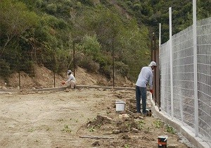 Girne Belediyesi, Hayvan Barna ve Rehabilitasyon Projesi nde Sona Doru