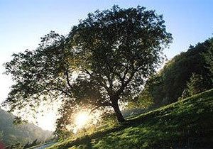 Hava Scaklnda D Bekleniyor