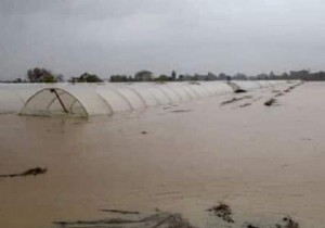 Antalya da Ar Ya,Yaam, Sera ve Tarm Arazilerinde iftiyi Madur Ediyor