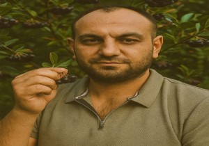 Korkuteli de Dnya nl Sper Meve Aronya Hasad