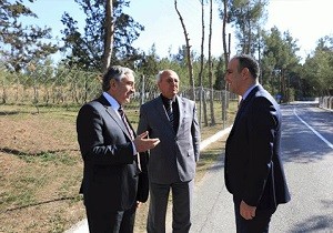 Lefkoa Trafiini Rahatlatan Al