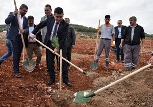 Kepez de Aalandrma almalar