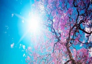 29 Mart   4  Nisan Tarihleri Arasnda Hava Durumu Nasl Olacak?