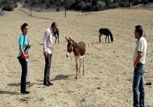 evre Koruma Dairesinden Dipkarpaz da nceleme