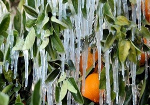 28 Ocak  3 ubat Tarihleri Arasnda Hava Durumu Nasl Olacak?