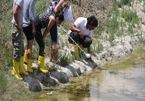 skele Belediyesi, Haereyle Mcadeleye Devam Ediyor