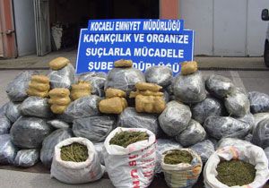 Kocaelide 350 Kilogram Esrar Ele Geirildi