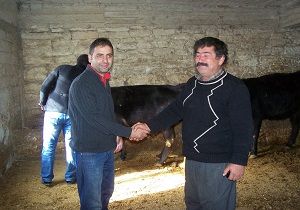 Korkutelide Besiciler Umutlu