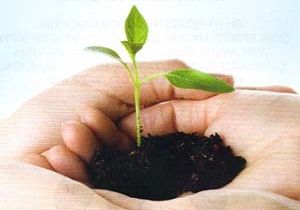 Kbrs Trk Ticaret Odas ndan Duyarl Etkinlik