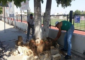 Lefkoa Trk Belediyesinden Yayalara Mjde