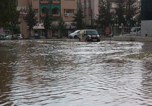 Gazimausa da Saanak Ya Korkuttu