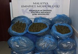 Malatyada 83 Kilo Esrar Ele Geirildi