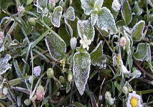 Meteoroloji Dairesi reticileri Uyard