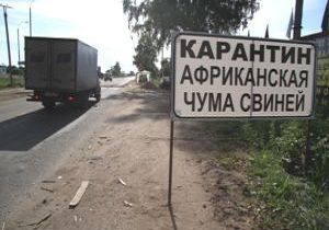 Rusya nn Gneyinde Domuz Vebas Alarm