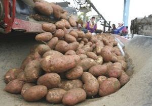 Rusya ve Msr Arasnda Patates Krizi