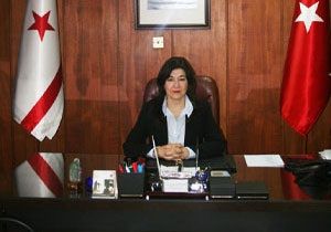 Bakan nverdi, Danimarkaya Gitti