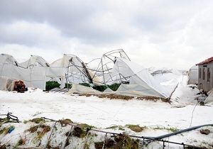 ahin ve Eker Antalya da Sel Blgesinde ncelemelerde Bulundu