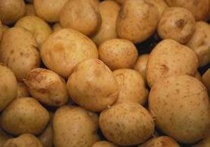 TK, lkbahar rn Patates Satlarna Balad