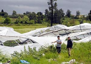 Serik te Hortum Seralara Zarar Verdi 