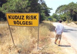 Antalya da Kuduz Alarm!