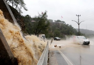 Antalya da Frtnann At Yaralar Sarlyor