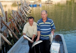 Beymelek Dalyan nda Balklara Av Yasa