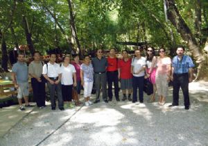 in li gazeteciler Kemer de