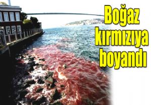 Deniz krmzya boyand
